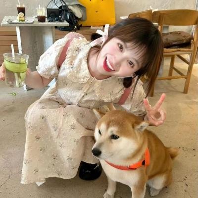 特洛伊一千个女人
