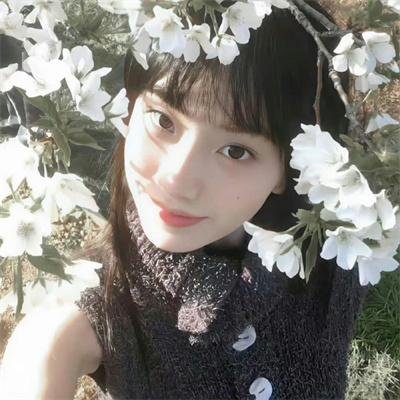 美国谍梦第五季